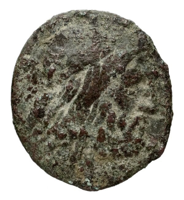 Philip V Macedon AMNG III.2 8-9, аверс, bnf-iris