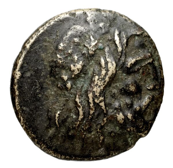 Philip V Macedon AMNG III.2 8-9, аверс, bnf-iris