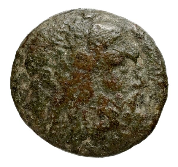 Philip V Macedon AMNG III.2 8-9, аверс, bnf-iris