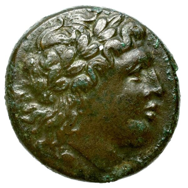 Nuceria Historia Numorum Italy 2438-46, аверс, bnf-iris