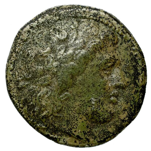 Nuceria Historia Numorum Italy 2438-46, аверс, bnf-iris