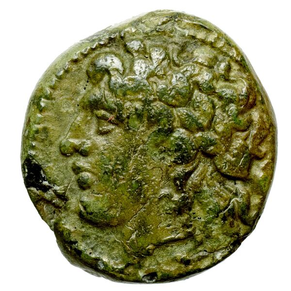 Nuceria Historia Numorum Italy 2438-46, аверс, bnf-iris