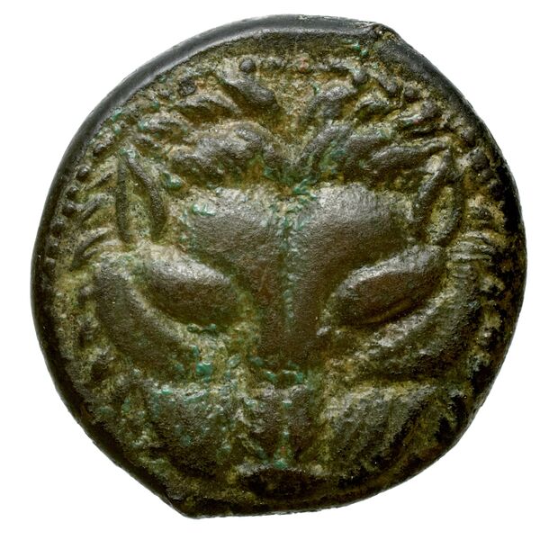 аверс Rhegium Historia Numorum Italy 2537-8
