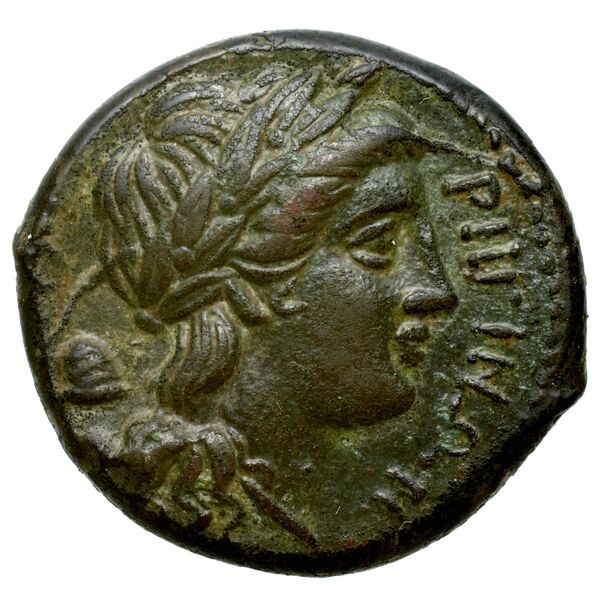 реверс Rhegium Historia Numorum Italy 2537-8