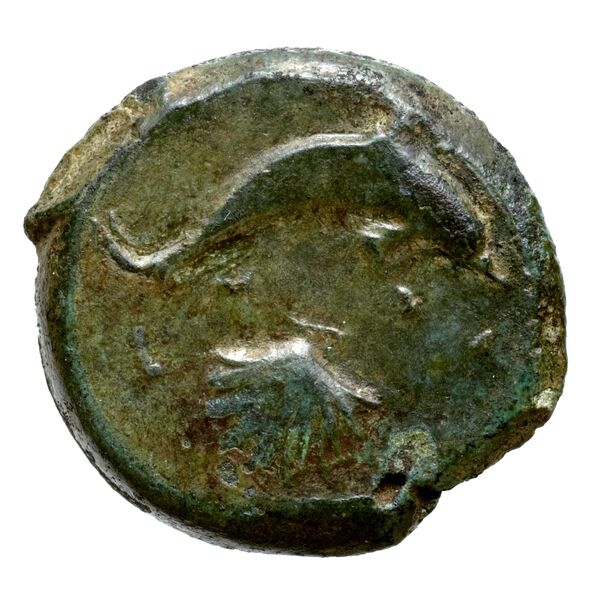 Syracuse Puglisi 2009 300, реверс, bnf-iris