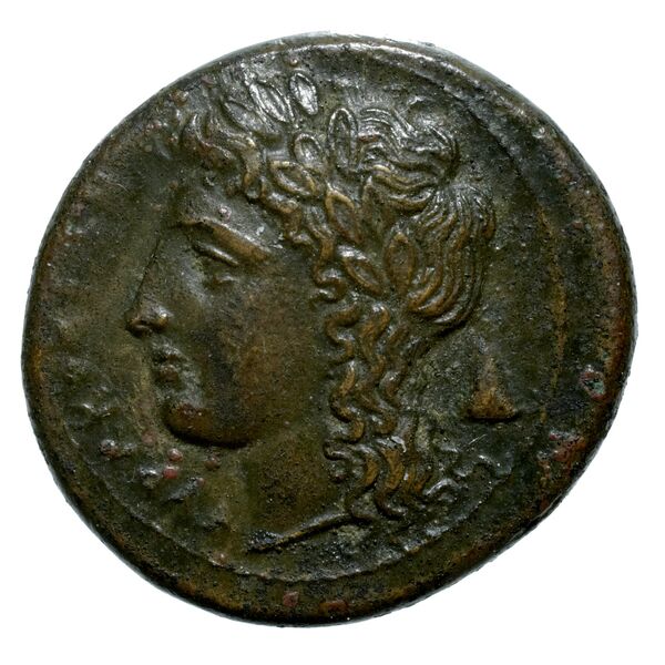 Syracuse Puglisi 2009 311, аверс, bnf-iris