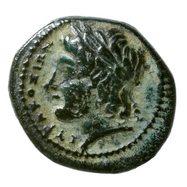 аверс Agathocles of Syracuse Syracuse Puglisi 2009 314