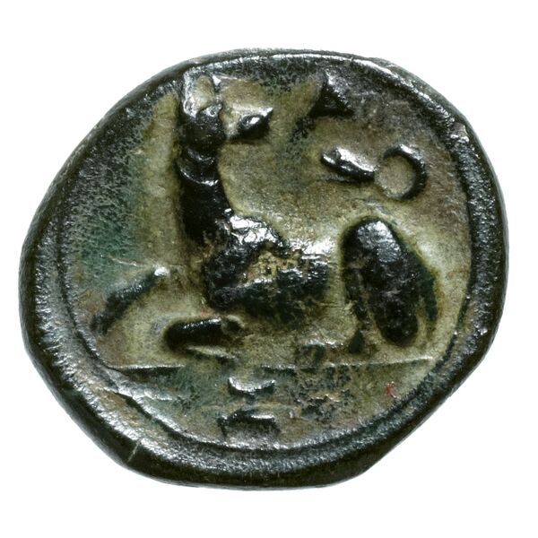 реверс Agathocles of Syracuse Syracuse Puglisi 2009 314
