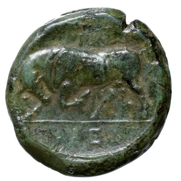 Hieron II Syracuse Puglisi 2009 335, реверс, bnf-iris