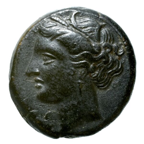 Hieron II Syracuse Puglisi 2009 335, аверс, bnf-iris