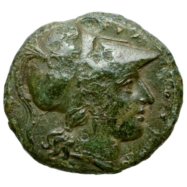 Agathocles of Syracuse Syracuse Puglisi 2009 318, аверс, bnf-iris