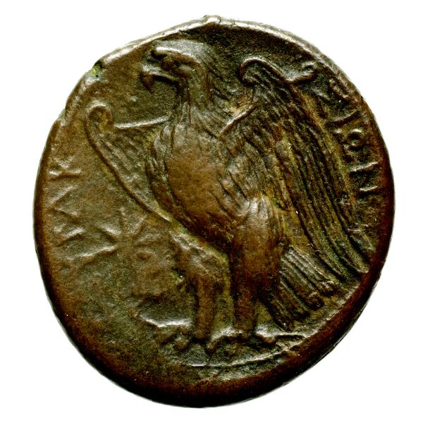 Hicetas Syracuse Puglisi 2009 326, реверс, bnf-iris