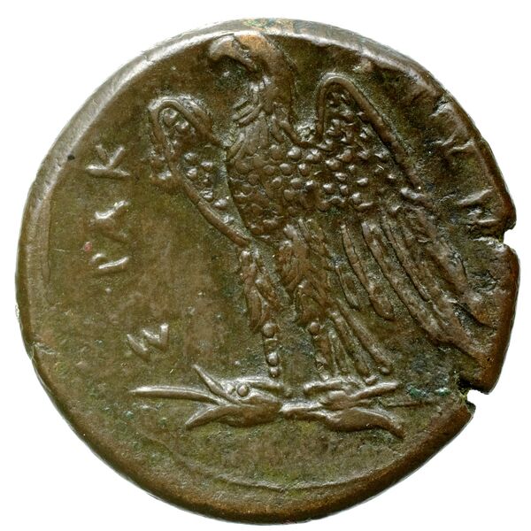 Hicetas Syracuse Puglisi 2009 326, реверс, bnf-iris