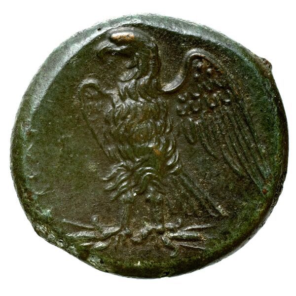 Hicetas Syracuse Puglisi 2009 326, реверс, bnf-iris