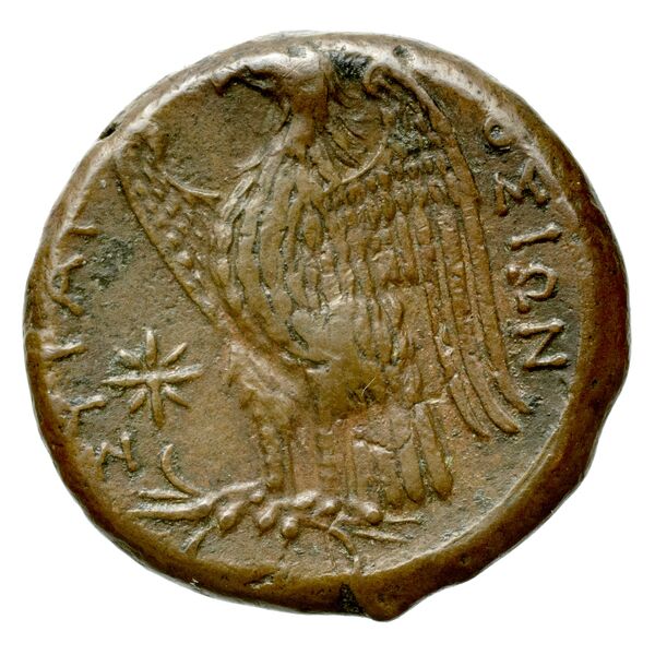 Hicetas Syracuse Puglisi 2009 326, реверс, bnf-iris