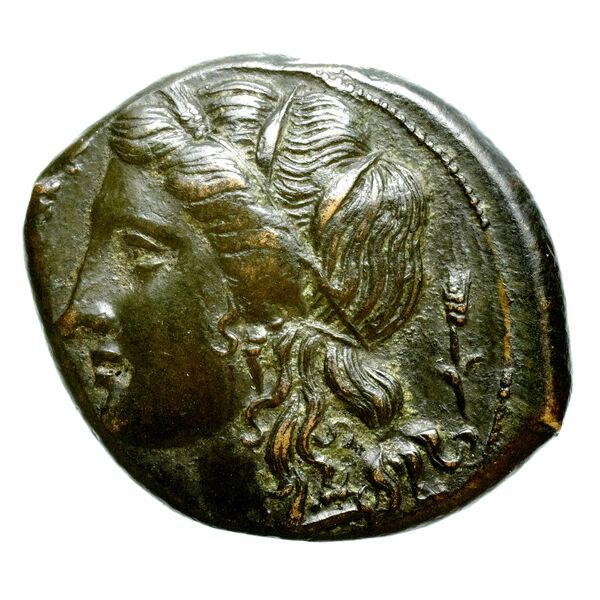 Hicetas Syracuse Puglisi 2009 328, аверс, bnf-iris