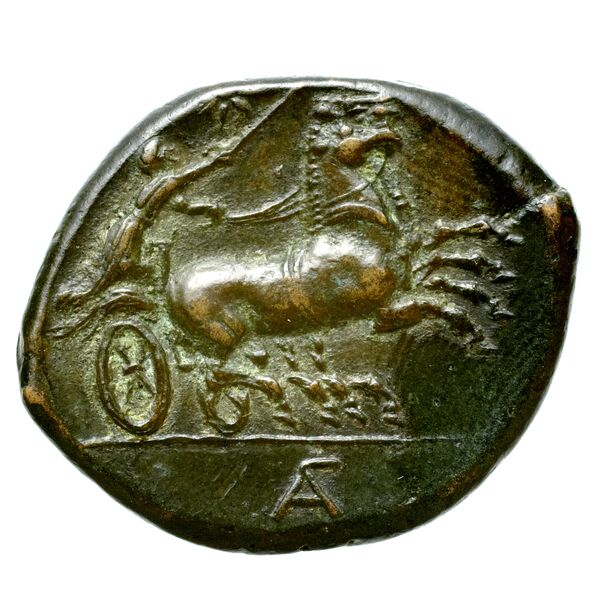 Hicetas Syracuse Puglisi 2009 328, реверс, bnf-iris