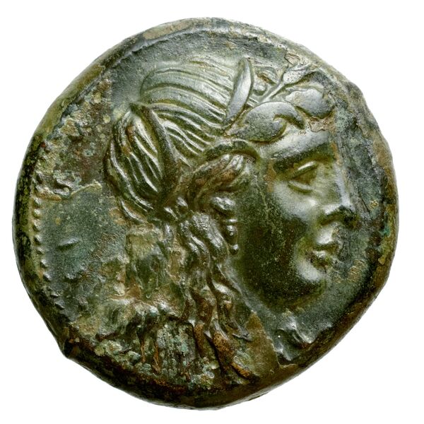Hicetas Syracuse Puglisi 2009 328, аверс, bnf-iris
