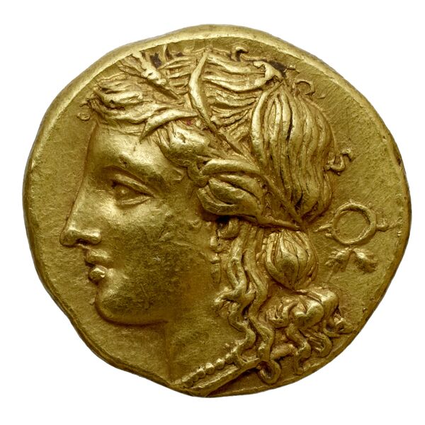 Hieron II Syracuse Carroccio 1994 59-94, аверс, bnf-iris