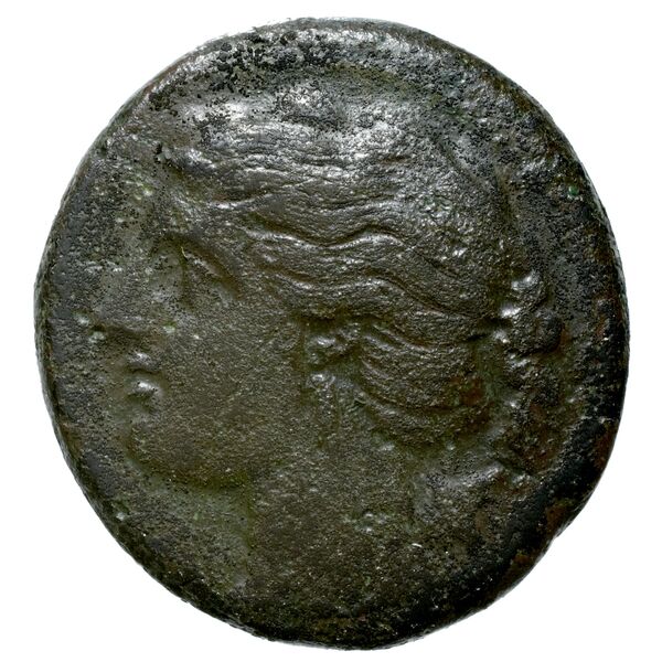 Phintias of Akragas obv