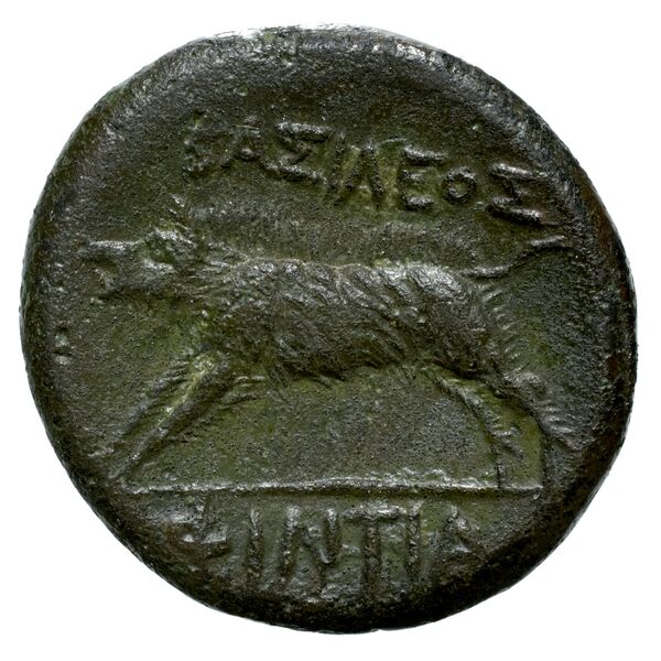 reverse Phintias of Akragas Agrigentum Puglisi 2009 263