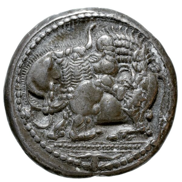 Acanthus Tselekas 1996 Periods B-C, groups 8-29, аверс, bnf-iris