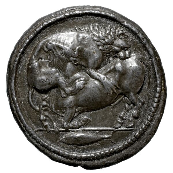 аверс Acanthus Tselekas 1996 Periods D-E, groups 30-41