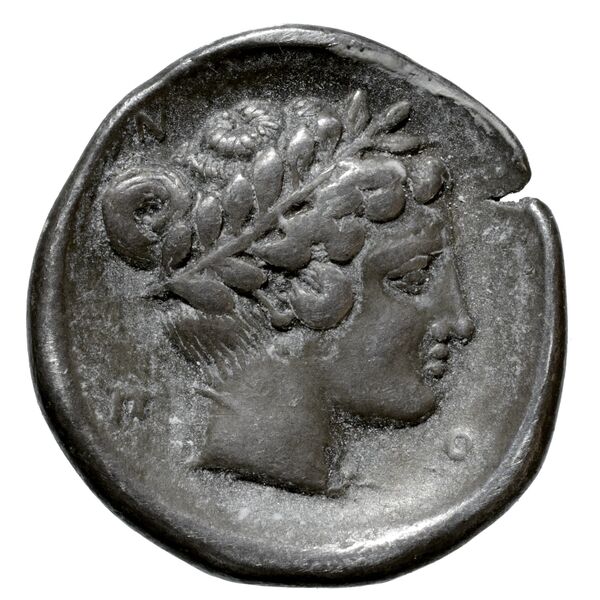 реверс Neapolis AMNG III.2 8-16