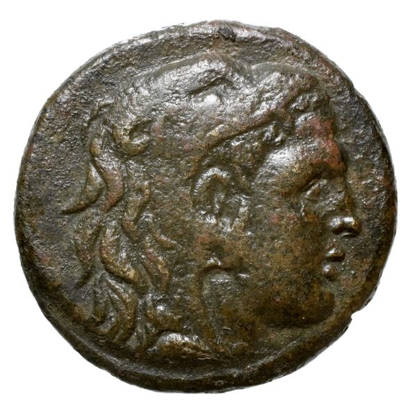Philip V Macedon AMNG III.2 12, аверс, bnf-iris