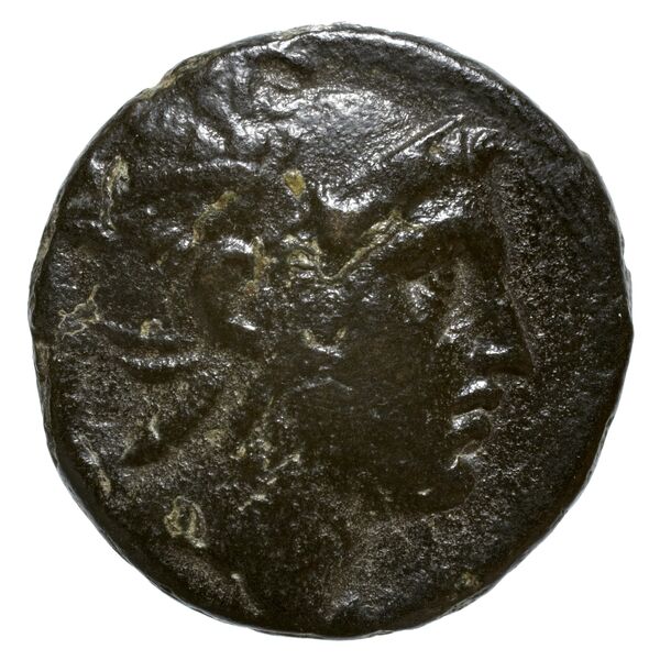 Philip V Macedon AMNG III.2 20-21, аверс, bnf-iris
