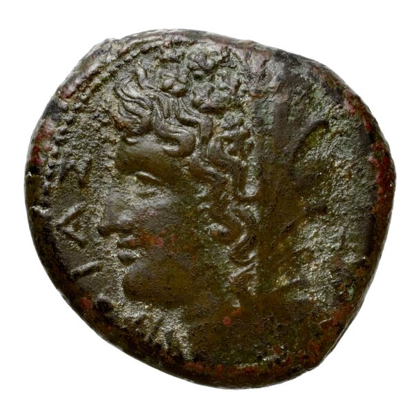 Pyrrhus Syracuse BMC Pyrrhus 20-23, аверс, bnf-iris