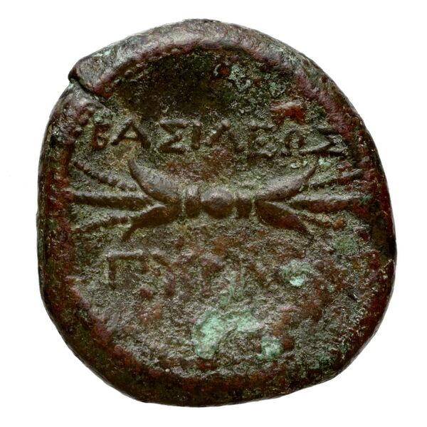 Pyrrhus Syracuse BMC Pyrrhus 20-23, реверс, bnf-iris