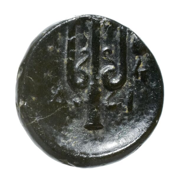 coin rev