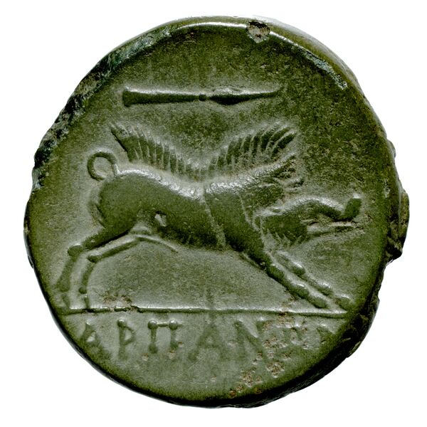 Arpi Historia Numorum Italy 642, реверс, bnf-iris