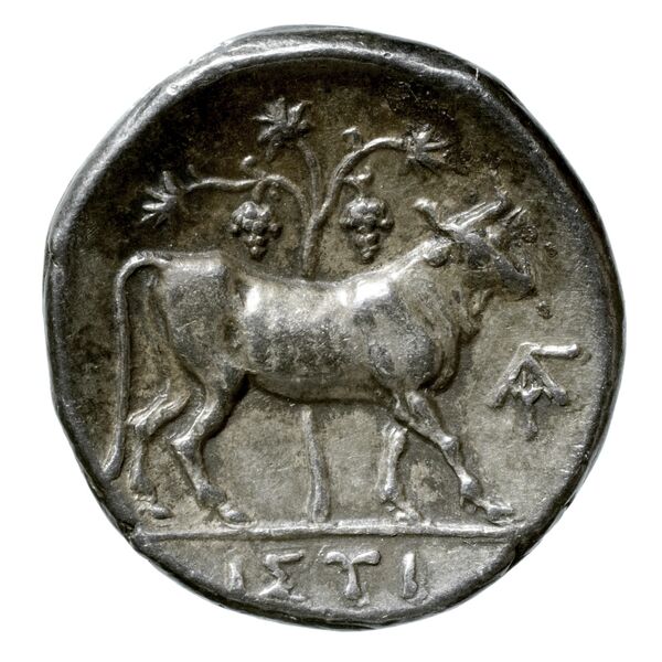 Histiaea BMC Histiaea 1-6, реверс, bnf-iris