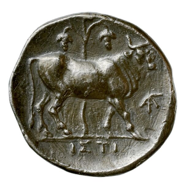 Histiaea BMC Histiaea 1-6, реверс, bnf-iris