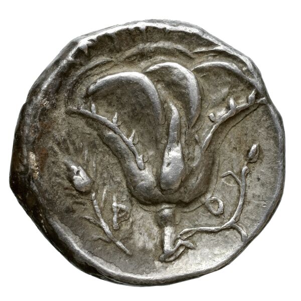 Rhodes Ashton 2001 188-94, реверс, bnf-iris