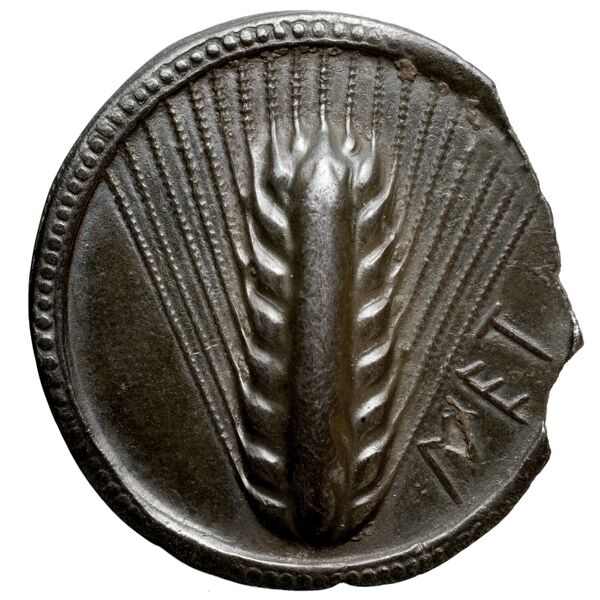 Metapontum Historia Numorum Italy 1459, аверс, bnf-iris