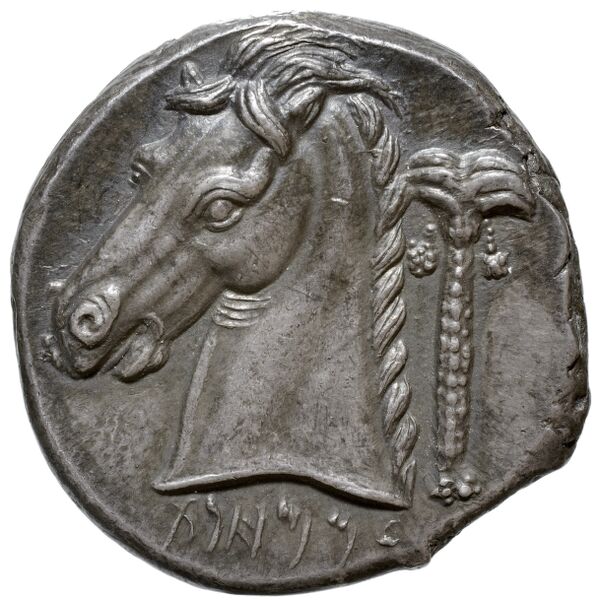 Carthaginian Empire Carthage Jenkins 1977 Carthage series 3, реверс, bnf-iris