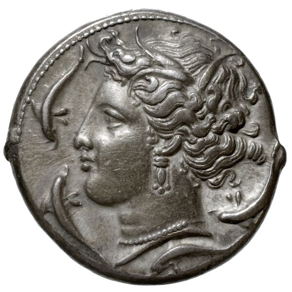 Carthaginian Empire Carthage Jenkins 1977 Carthage series 3, аверс, bnf-iris
