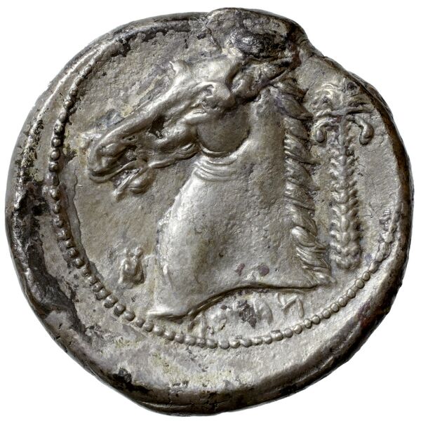 Carthaginian Empire Carthage Jenkins 1978 Carthage series 5, реверс, bnf-iris
