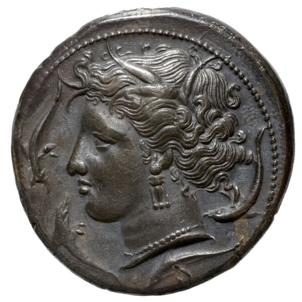 Carthaginian Empire Carthage Jenkins 1977 Carthage series 2, аверс, bnf-iris