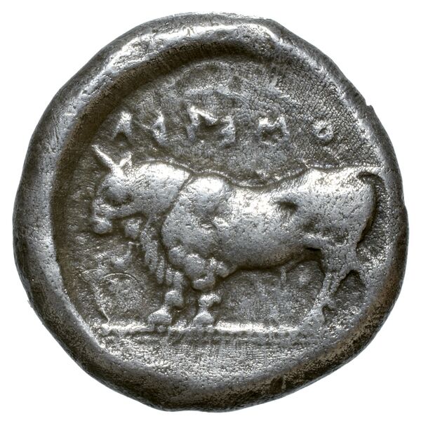 Poseidonia Historia Numorum Italy 1116, реверс, bnf-iris