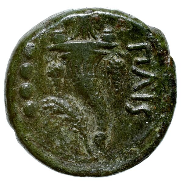 реверс Paestum Historia Numorum Italy 1216