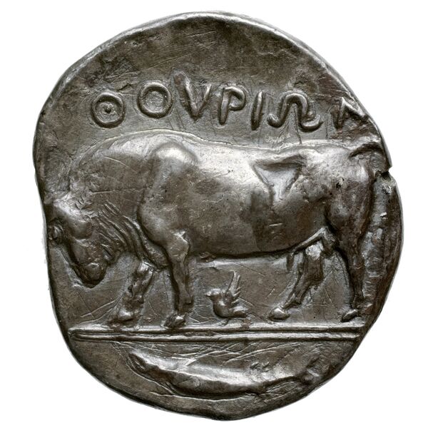Thurium Historia Numorum Italy 1784-1795, реверс, bnf-iris
