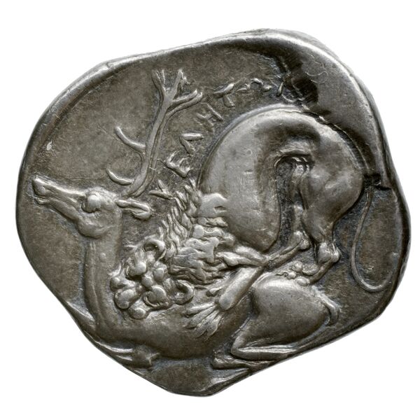 Velia Historia Numorum Italy 1270, реверс, bnf-iris