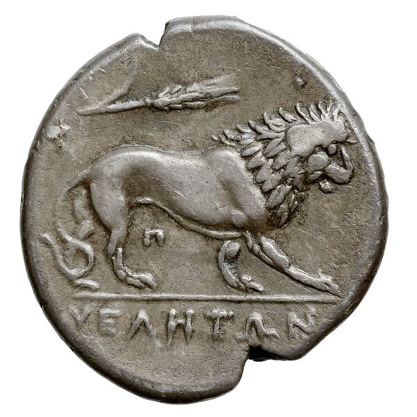 Velia Historia Numorum Italy 1299-1312, реверс, bnf-iris