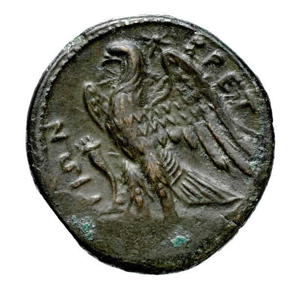 Brettii Bruttium Historia Numorum Italy 1978-1981, reverse, bnf-iris