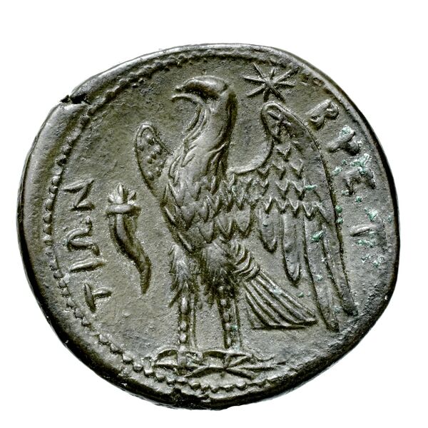 Brettii Bruttium Historia Numorum Italy 1978-1981, reverse, bnf-iris