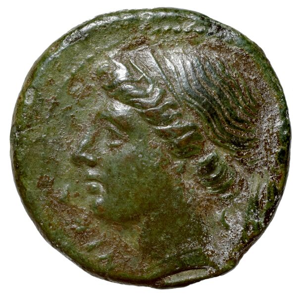 Brettii Bruttium Historia Numorum Italy 1982, аверс, bnf-iris